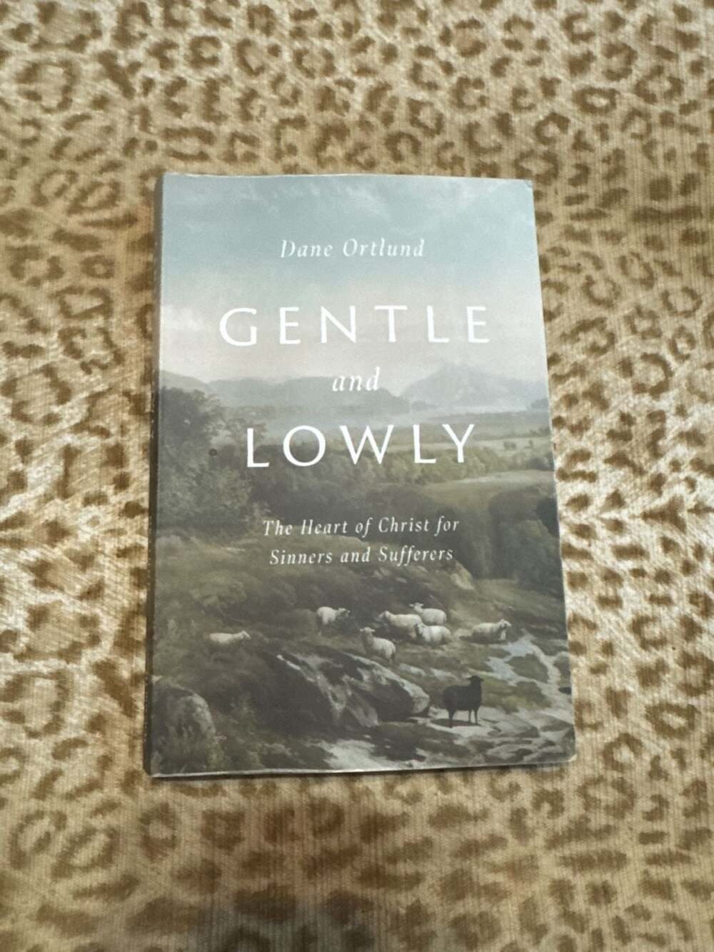 Gentle and Lowly: The Heart of Christ for Sinners and Sufferers by Dane Ortlund